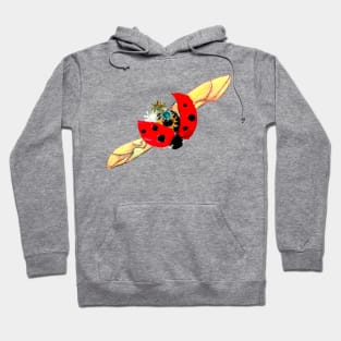 Lady Bug Bug Hoodie